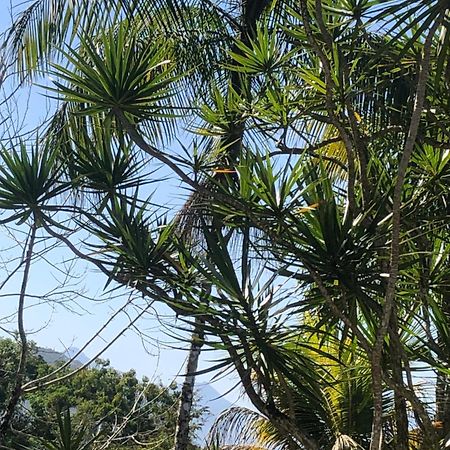 Casa Amarela Prumirim Ubatuba Eksteriør bilde
