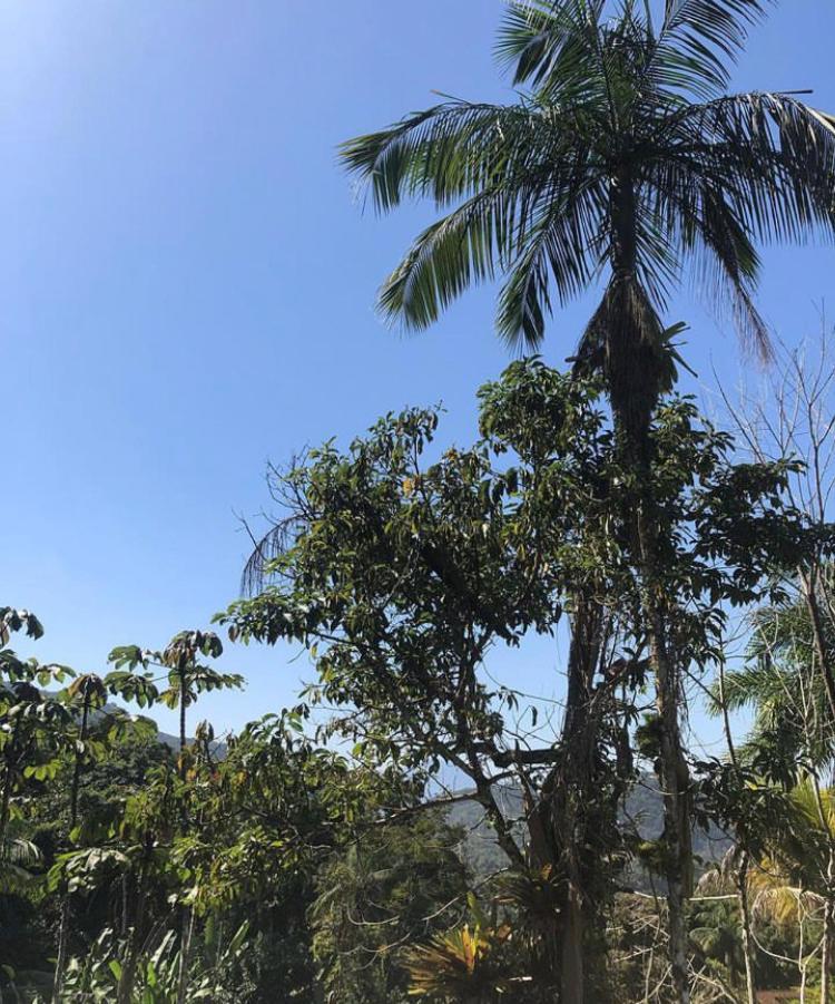 Casa Amarela Prumirim Ubatuba Eksteriør bilde