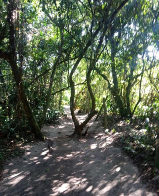 Casa Amarela Prumirim Ubatuba Eksteriør bilde