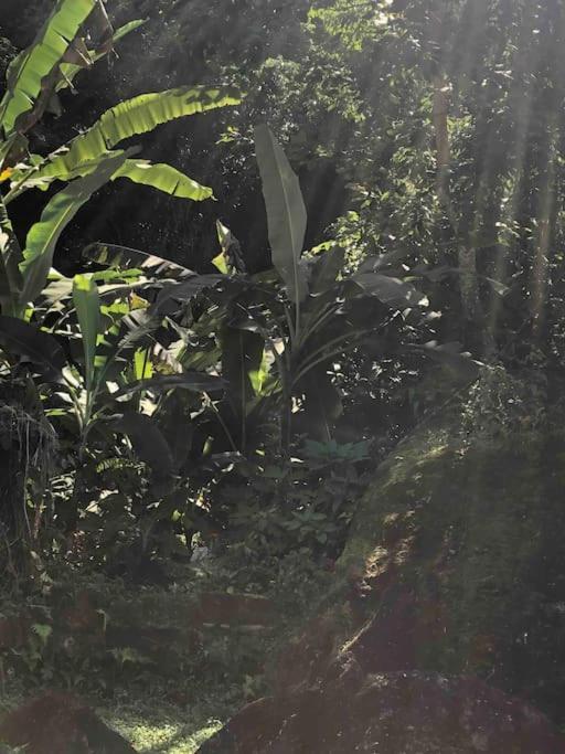 Casa Amarela Prumirim Ubatuba Eksteriør bilde