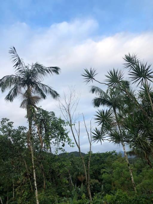 Casa Amarela Prumirim Ubatuba Eksteriør bilde