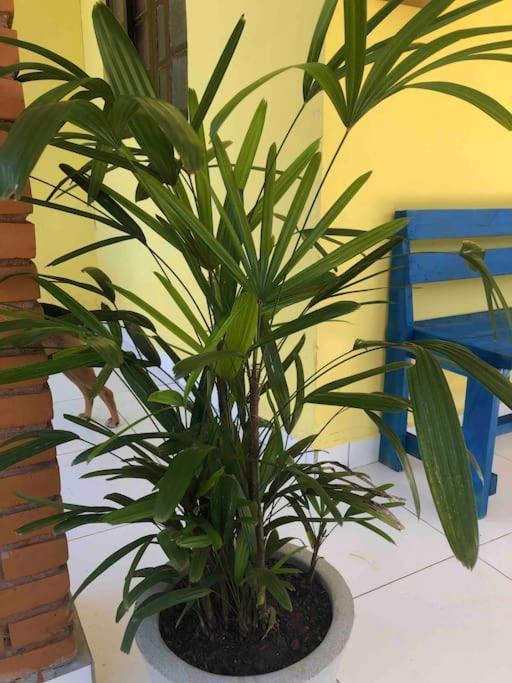 Casa Amarela Prumirim Ubatuba Eksteriør bilde